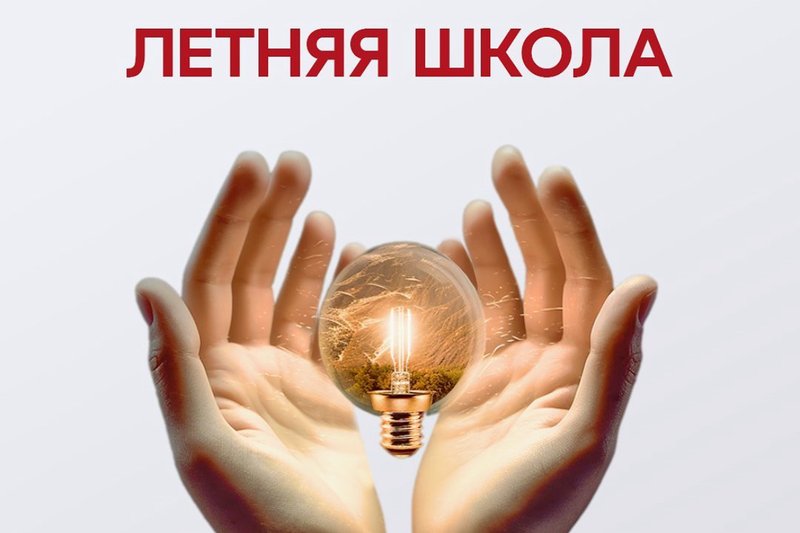Летняя школа ВОИС
