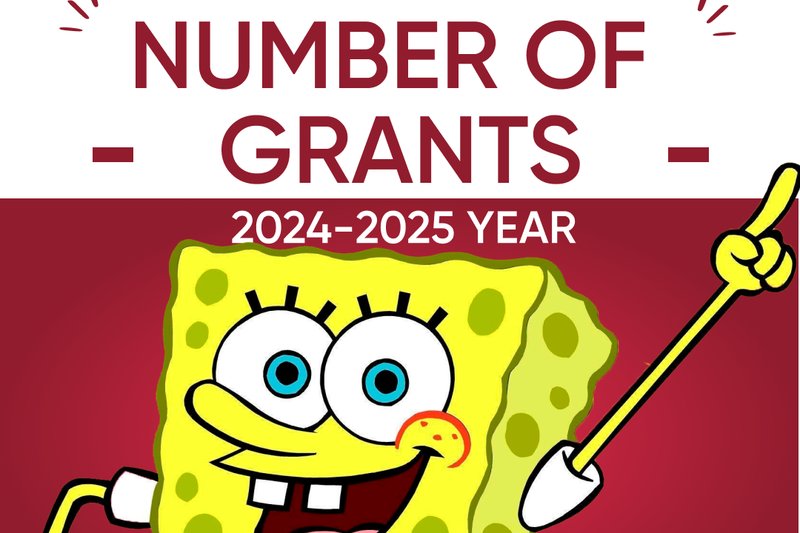Number of grants for the 2024-2025 academic year