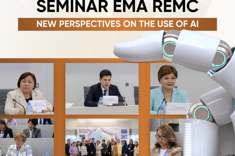 EMA REMC Seminar: New Perspectives on the use of AI