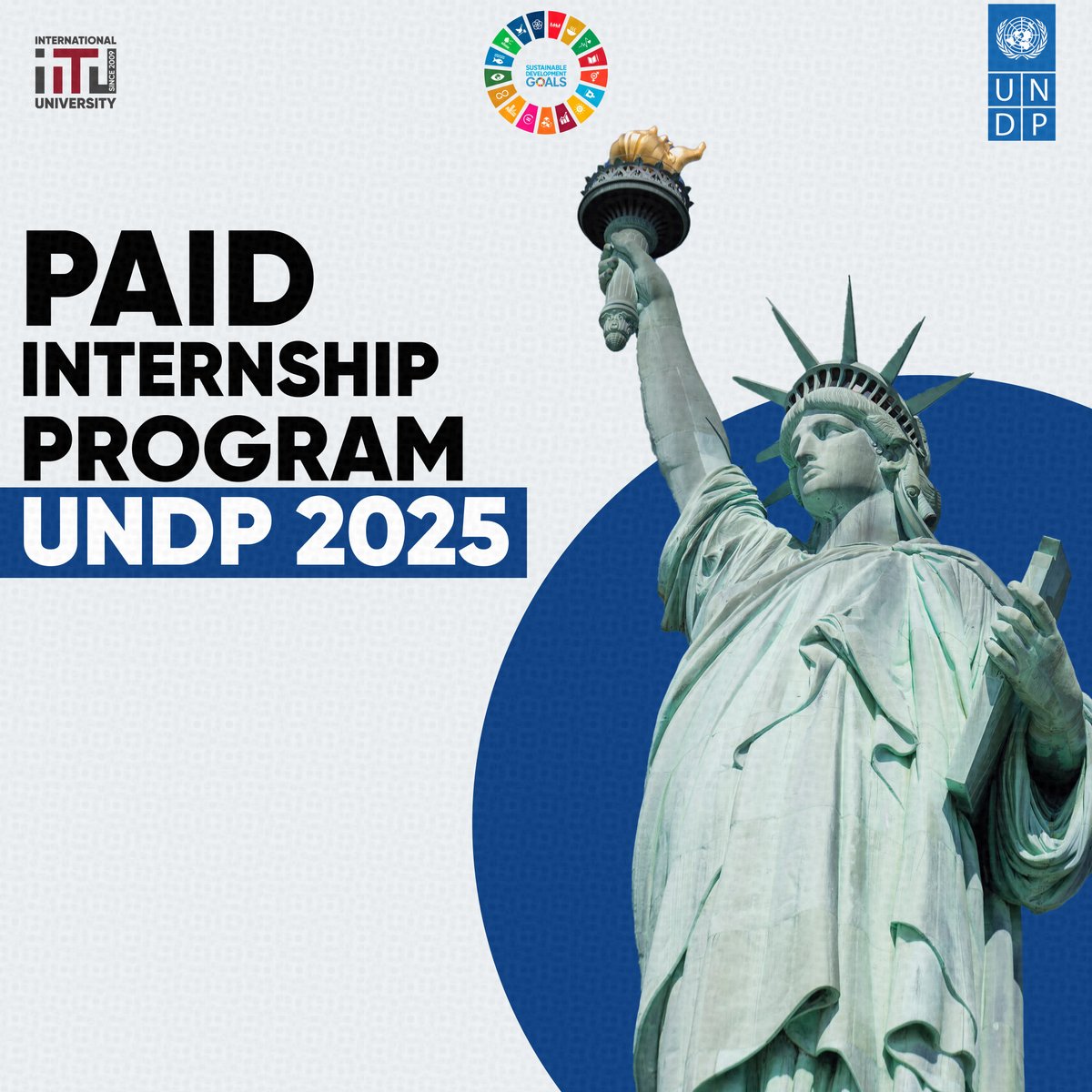 UNDP 2025 paid internship program