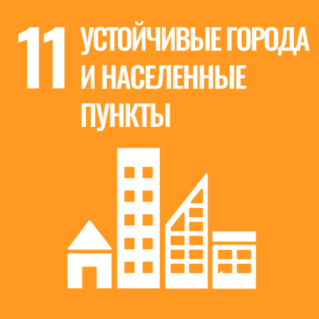 цур 11.png