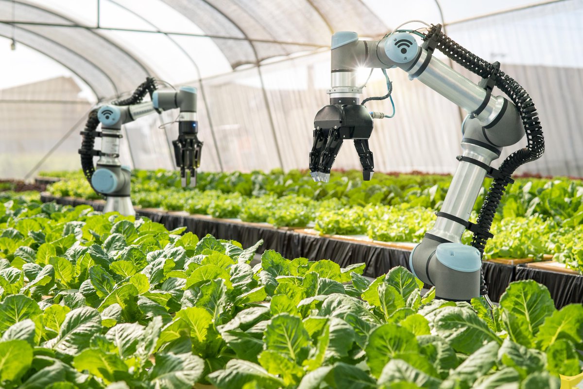 6B06115 Agrocybernetic